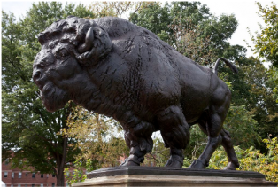 Majestic Bison Statue PNG image