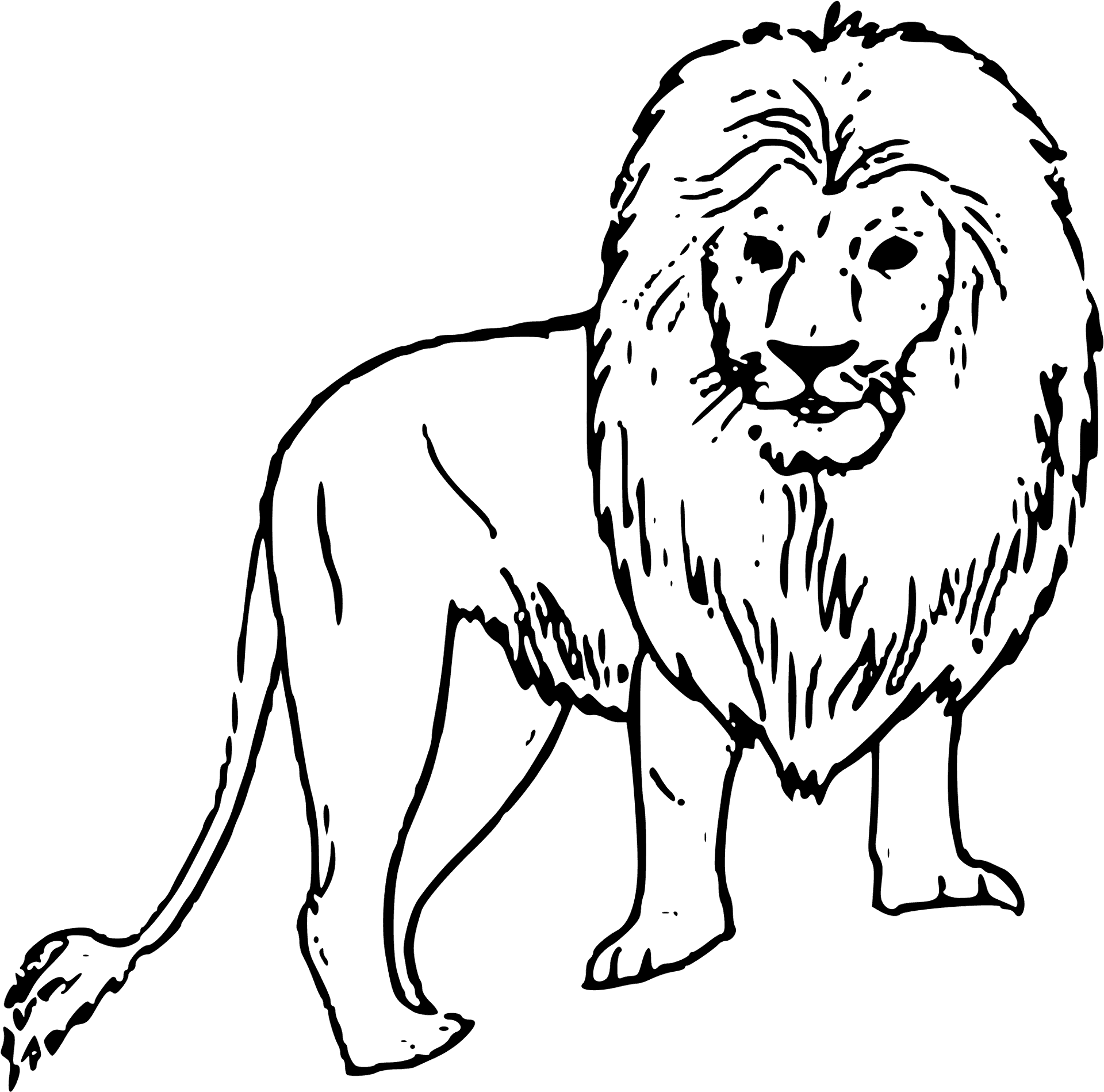 Majestic Black Lion Illustration PNG image