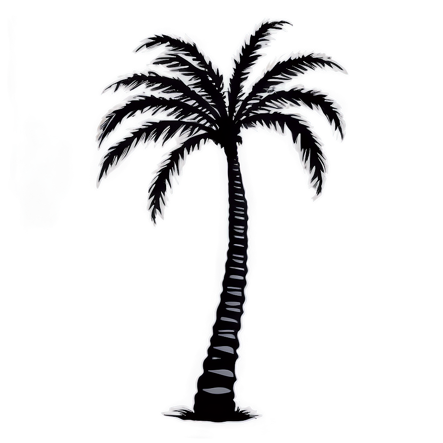 Majestic Black Palm Tree Png 11 PNG image