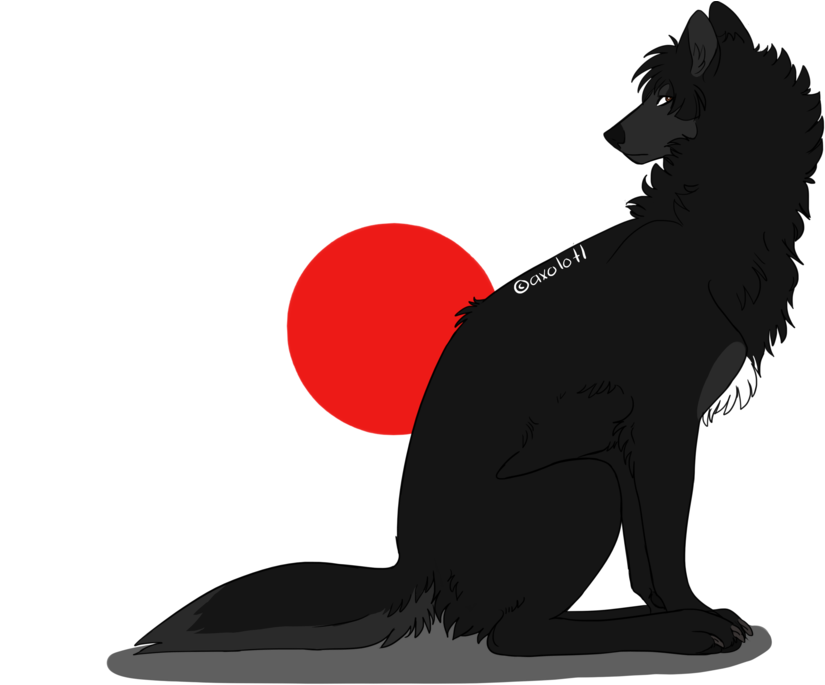 Majestic Black Wolf Silhouette Red Sun PNG image