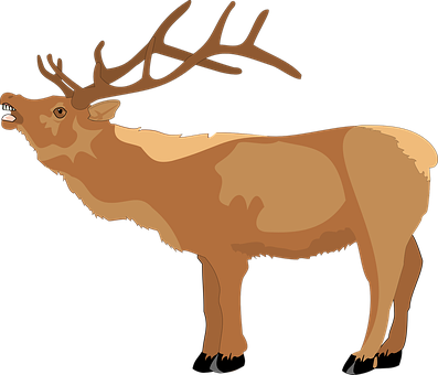 Majestic Brown Deer Illustration PNG image