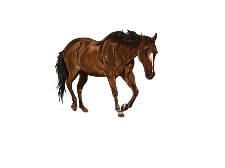 Majestic Brown Horse Artwork PNG image