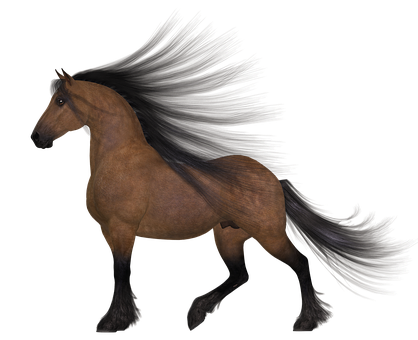 Majestic Brown Horse Black Background PNG image