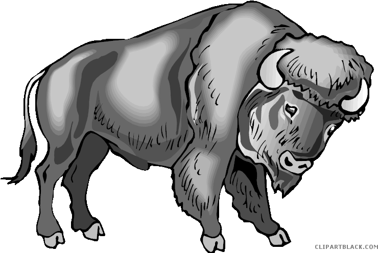 Majestic Buffalo Illustration PNG image
