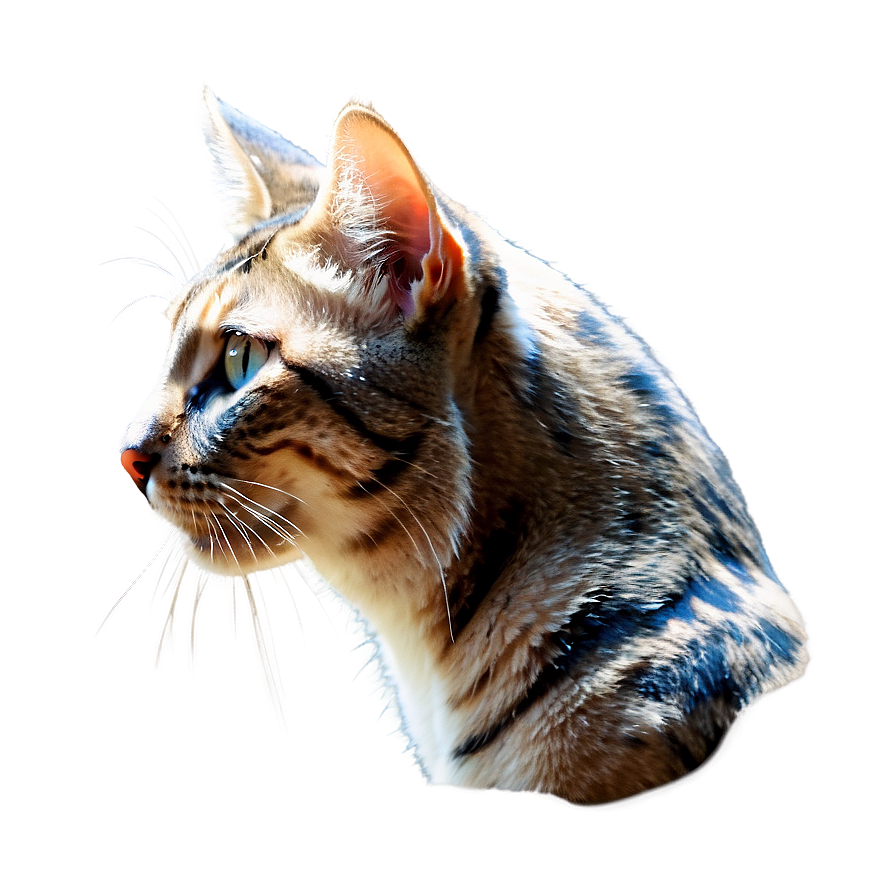 Majestic Cat Head Profile Png Gtp PNG image