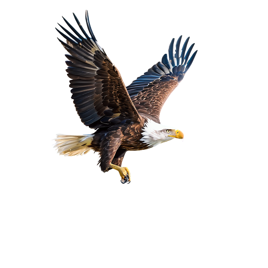 Majestic Eagle Flight Png Rdf40 PNG image