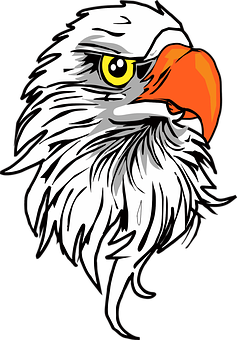 Majestic_ Eagle_ Head_ Vector PNG image