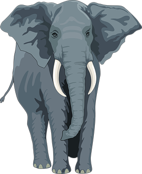 Majestic Elephant Illustration PNG image
