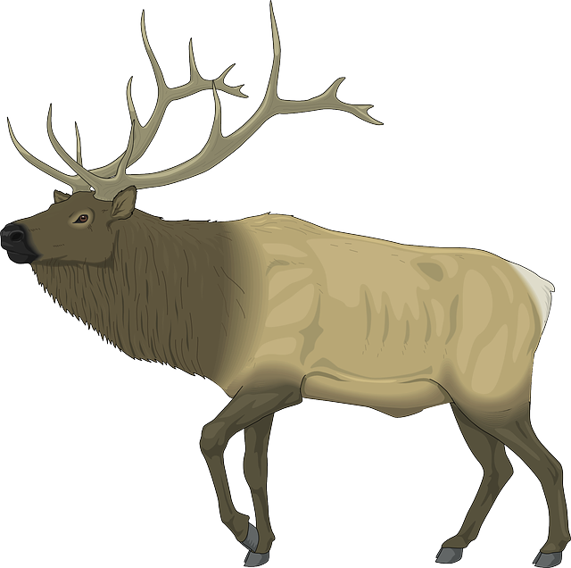 Majestic Elk Illustration PNG image