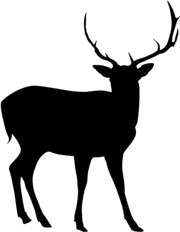 Majestic Elk Silhouette PNG image