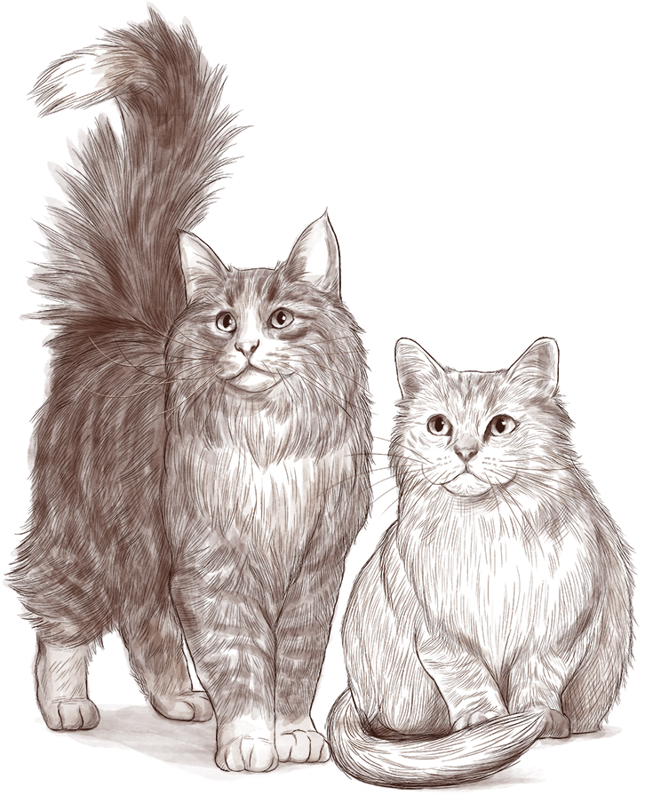 Majestic_ Feline_ Pair_ Illustration.png PNG image