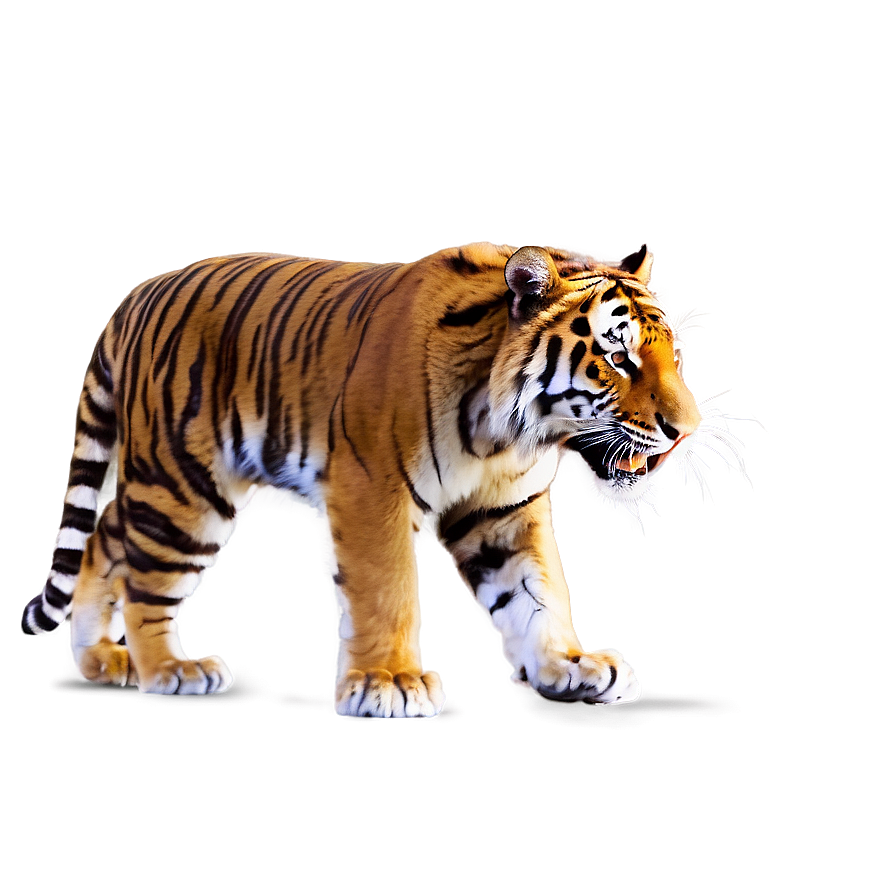 Majestic Fury Tiger Png 2 PNG image