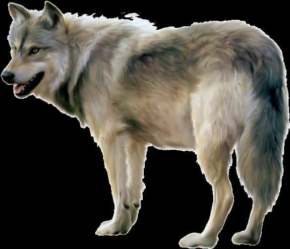 Majestic Gray Wolf Profile PNG image