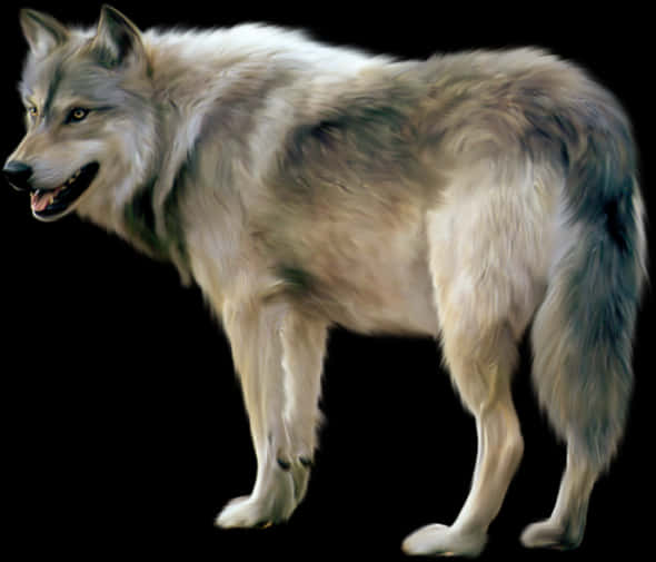 Majestic Gray Wolf PNG image