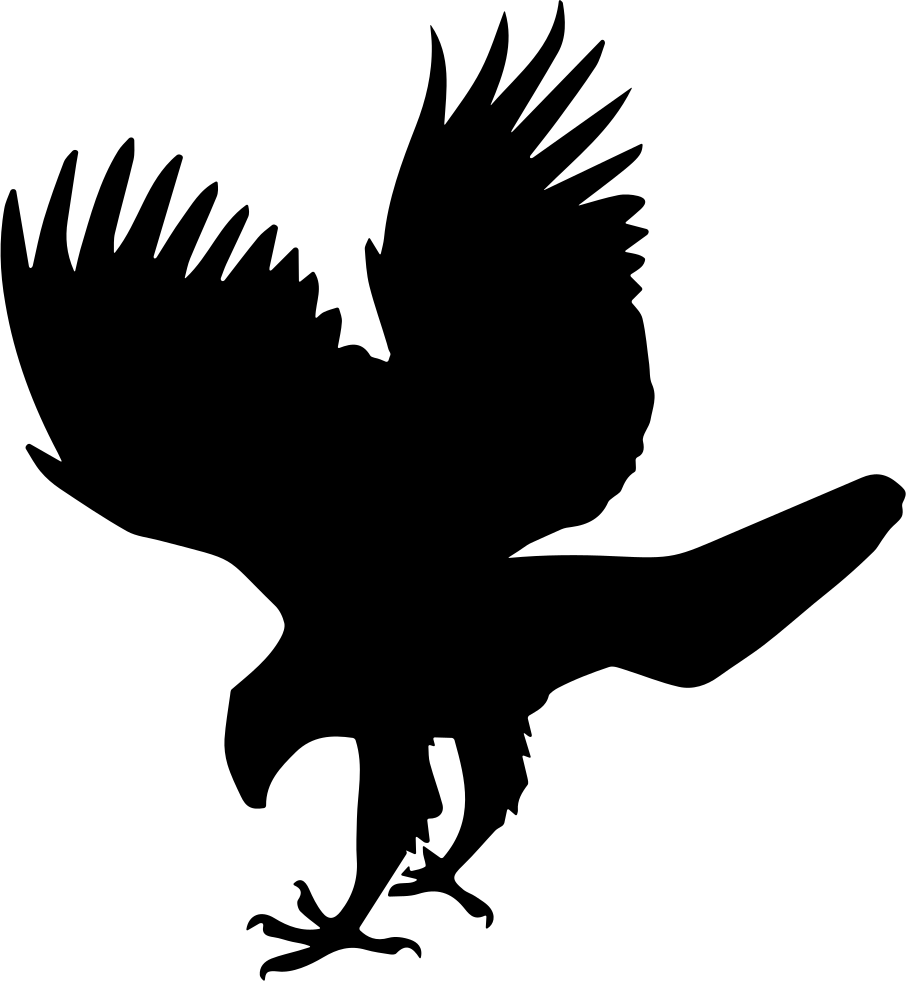 Majestic Hawk Silhouette PNG image