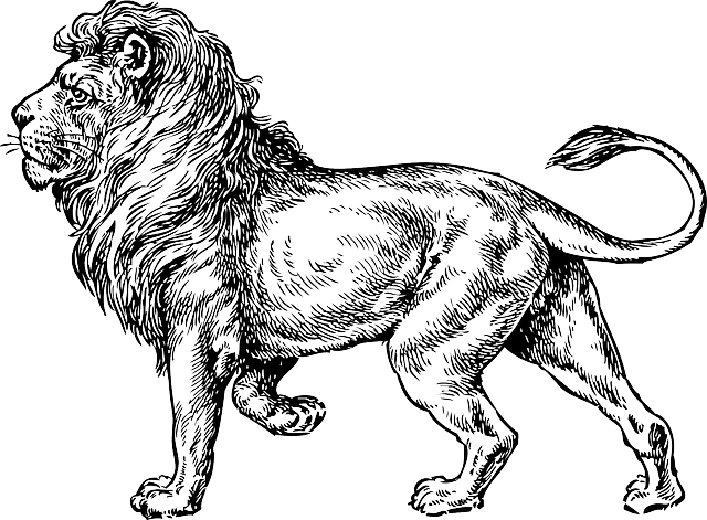 Majestic Lion Illustration PNG image