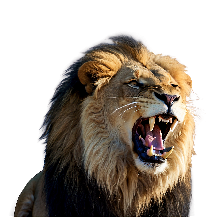 Majestic Lion Of Judah Roaring Png Rgb63 PNG image