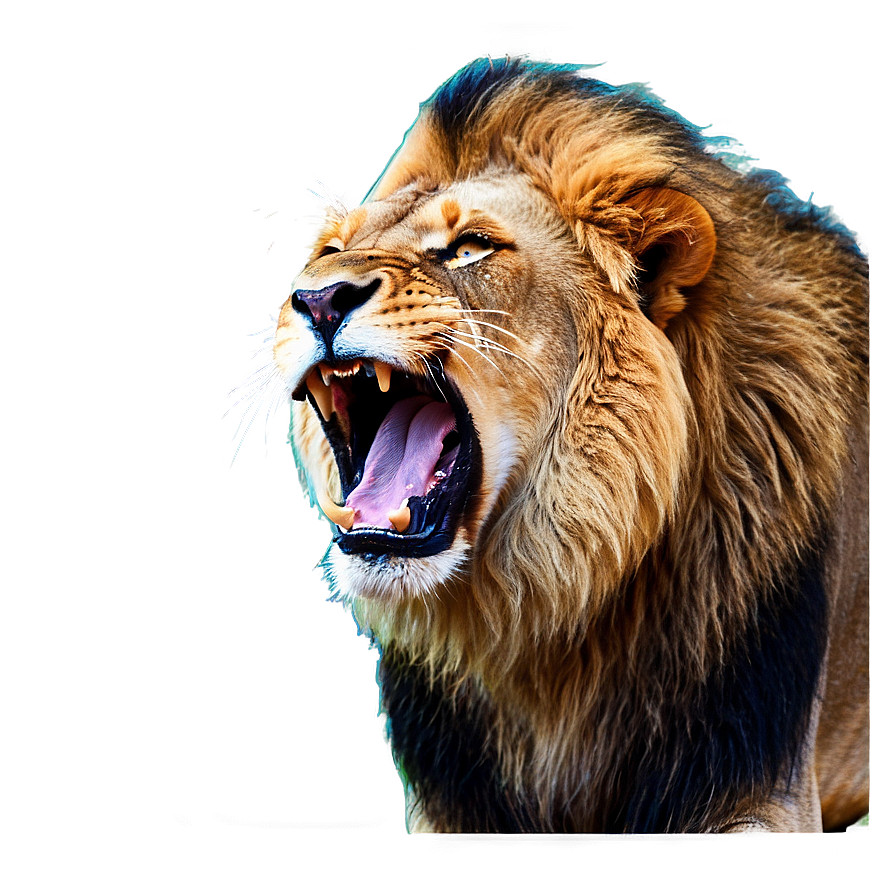 Majestic Lion Roaring Png 90 PNG image