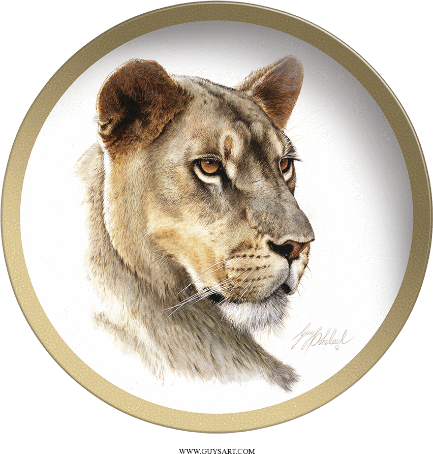 Majestic Lioness Portrait PNG image