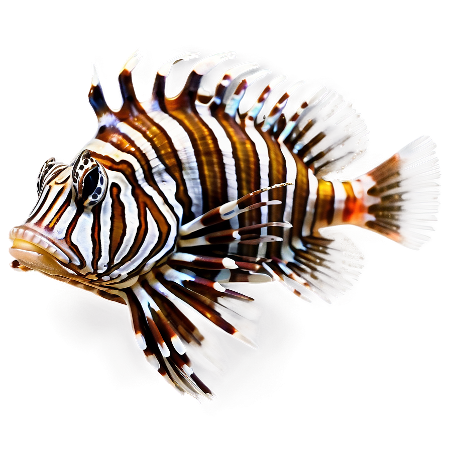 Majestic Lionfish Png 6 PNG image