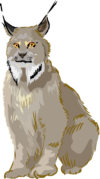 Majestic Lynx Illustration PNG image
