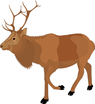 Majestic Moose Vector Illustration PNG image