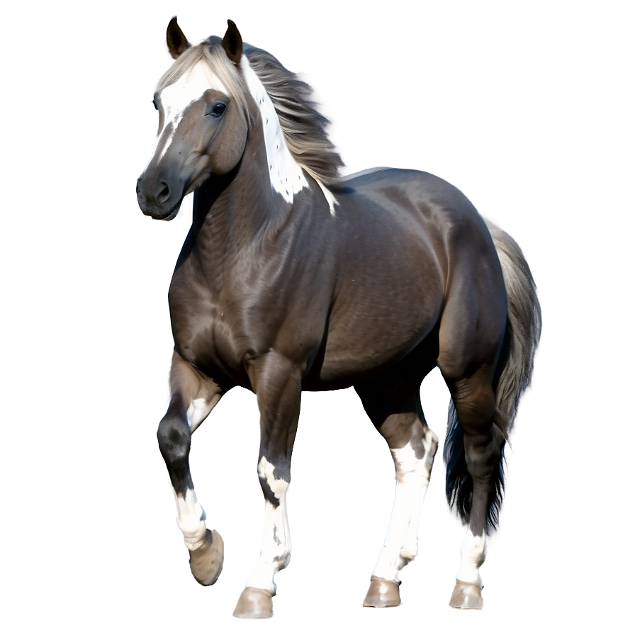 Majestic Mustang Horse Pose Png 93 PNG image