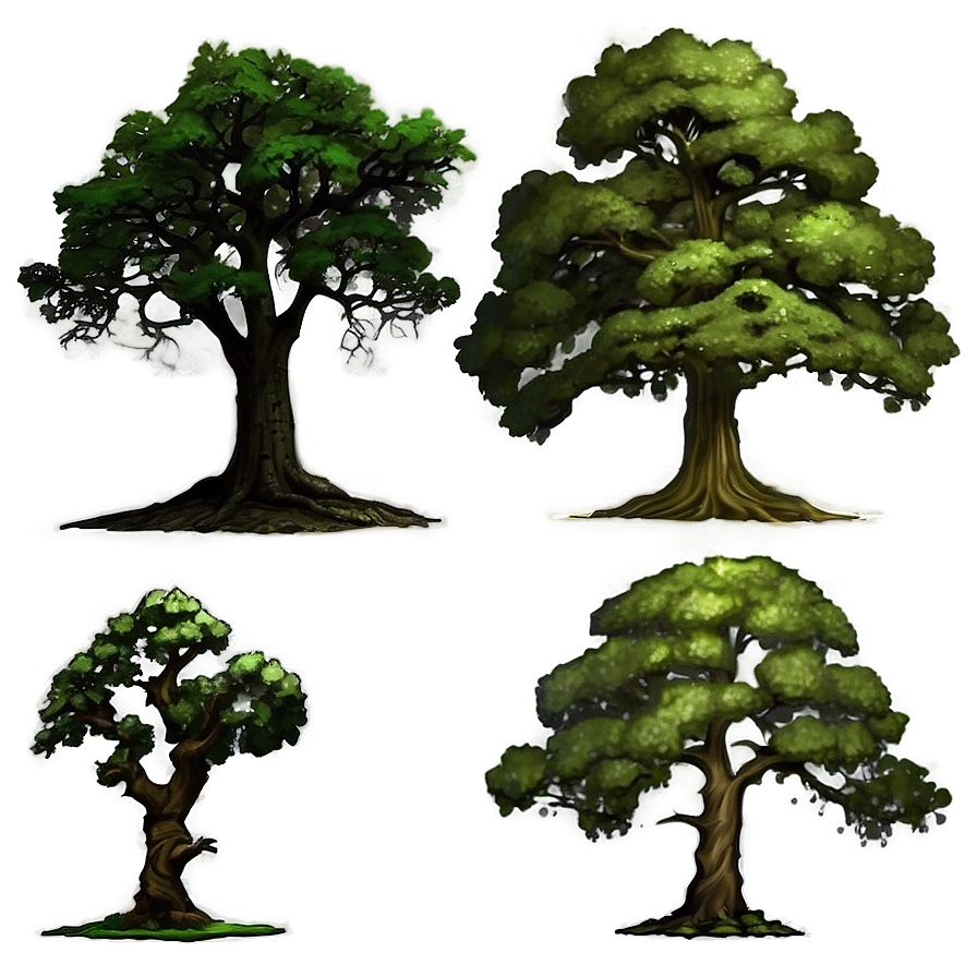 Majestic Oak Trees Png 20 PNG image