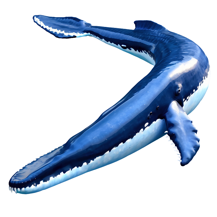 Majestic Ocean Whale Png 05212024 PNG image