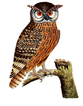 Majestic Owl Perchedon Branch PNG image
