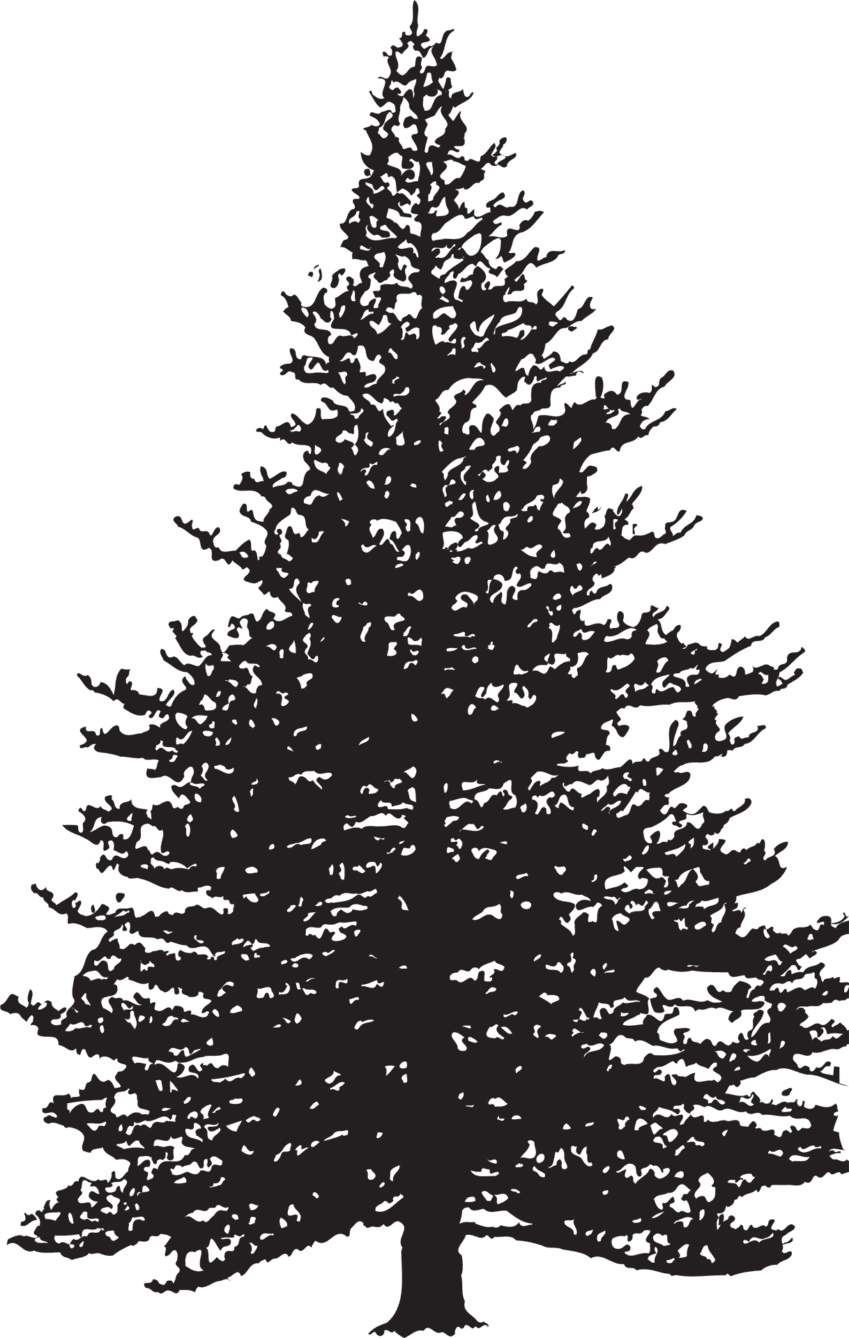 Majestic Pine Tree Silhouette PNG image