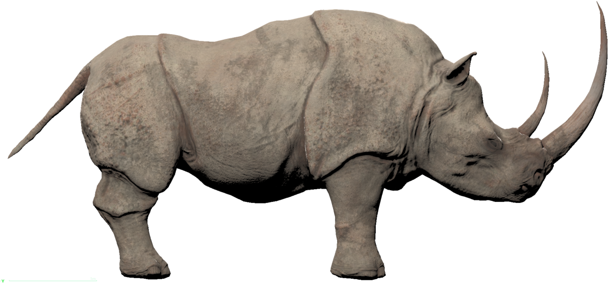 Majestic Rhino Profile PNG image