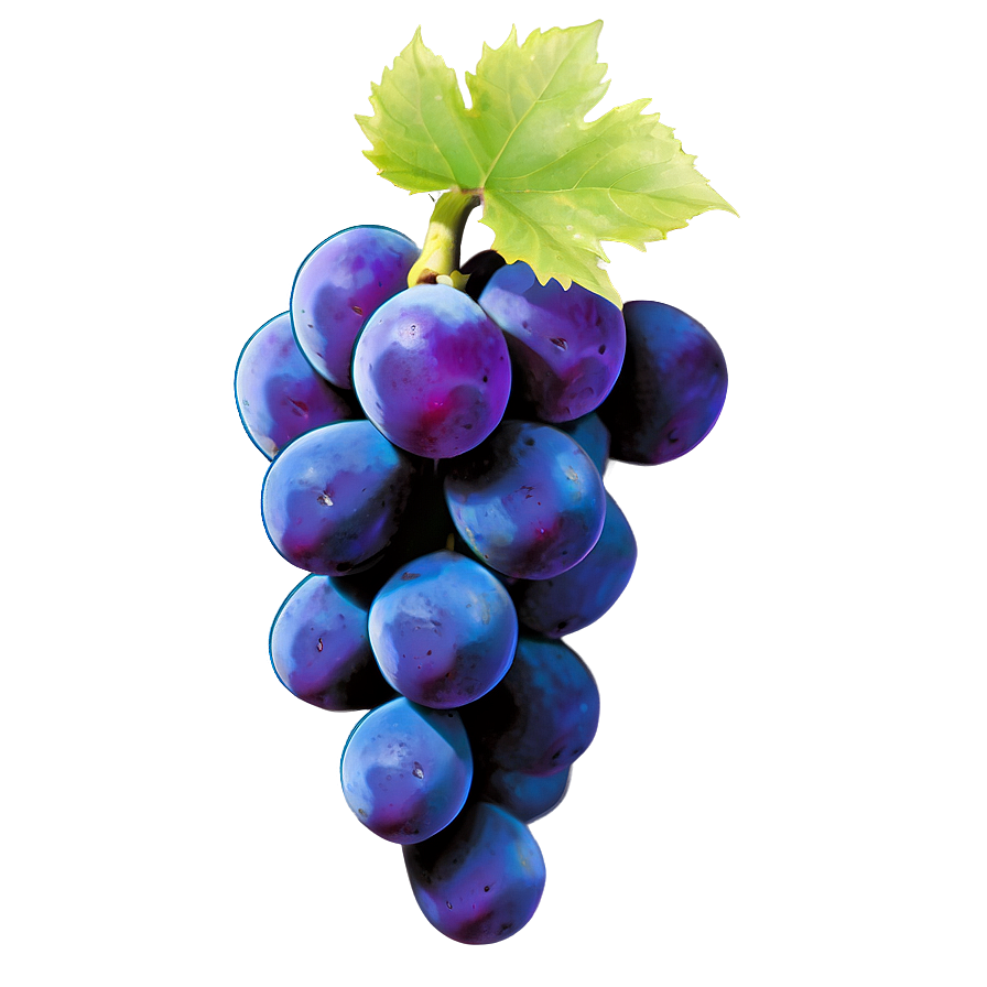 Majestic Single Grape Png Sdk PNG image