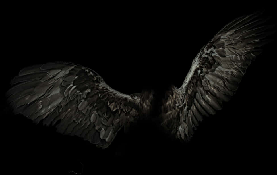Majestic Spread Wings Dark Background PNG image