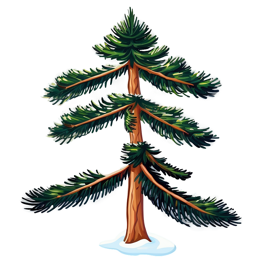 Majestic Spruce Tree Clipart Png 06132024 PNG image