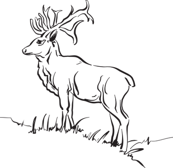 Majestic Stag Silhouette PNG image