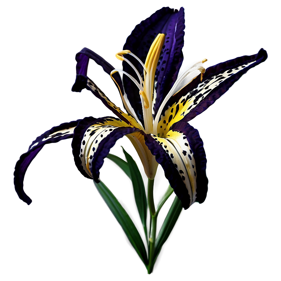 Majestic Tiger Lilies Png 85 PNG image