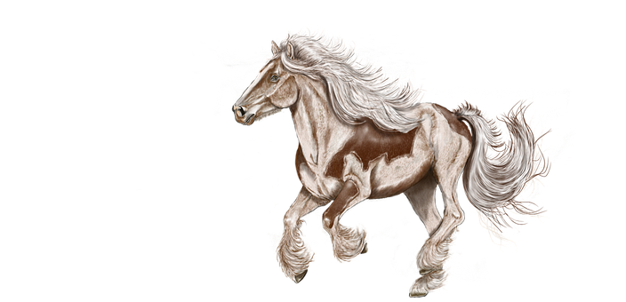 Majestic White Maned Horse PNG image