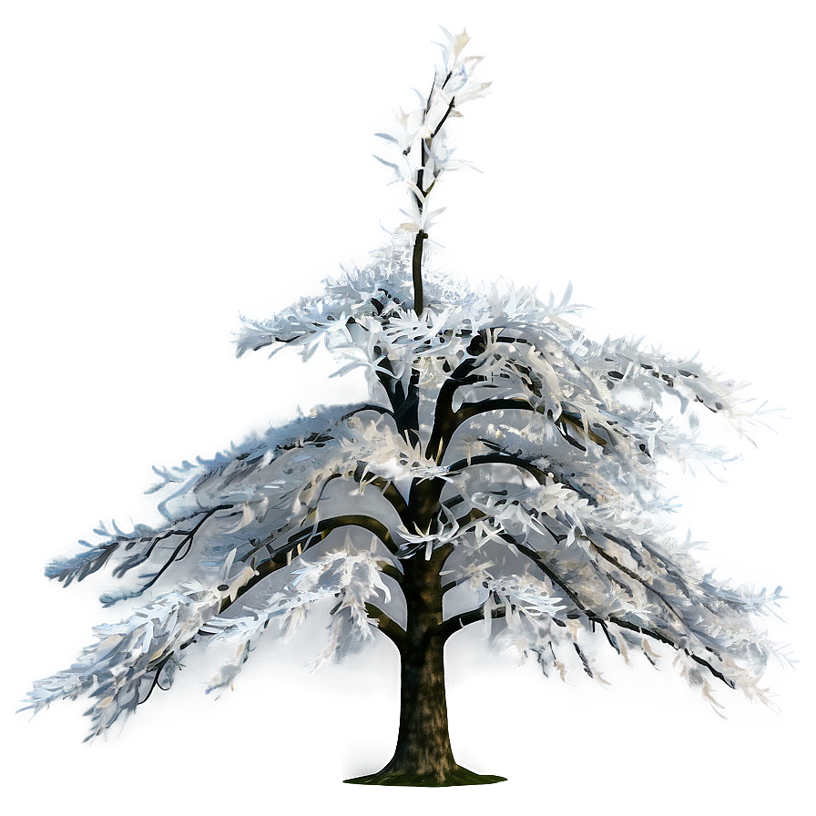 Majestic White Tree Panorama Png Pyi PNG image