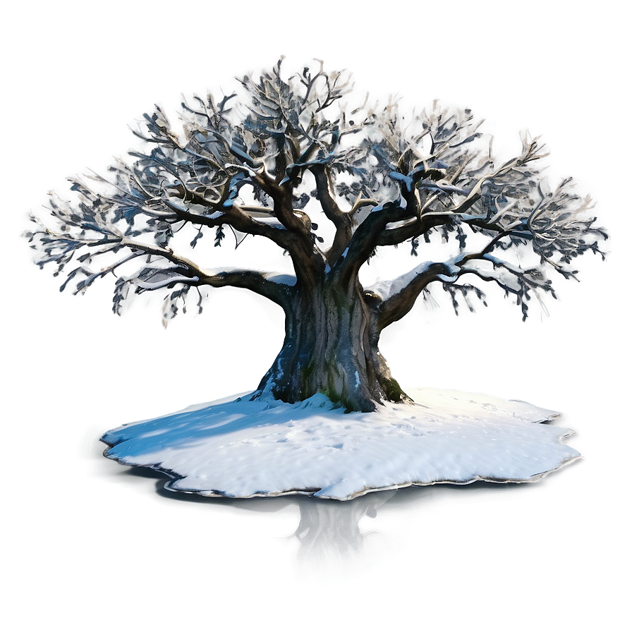 Majestic White Tree Panorama Png Syu7 PNG image