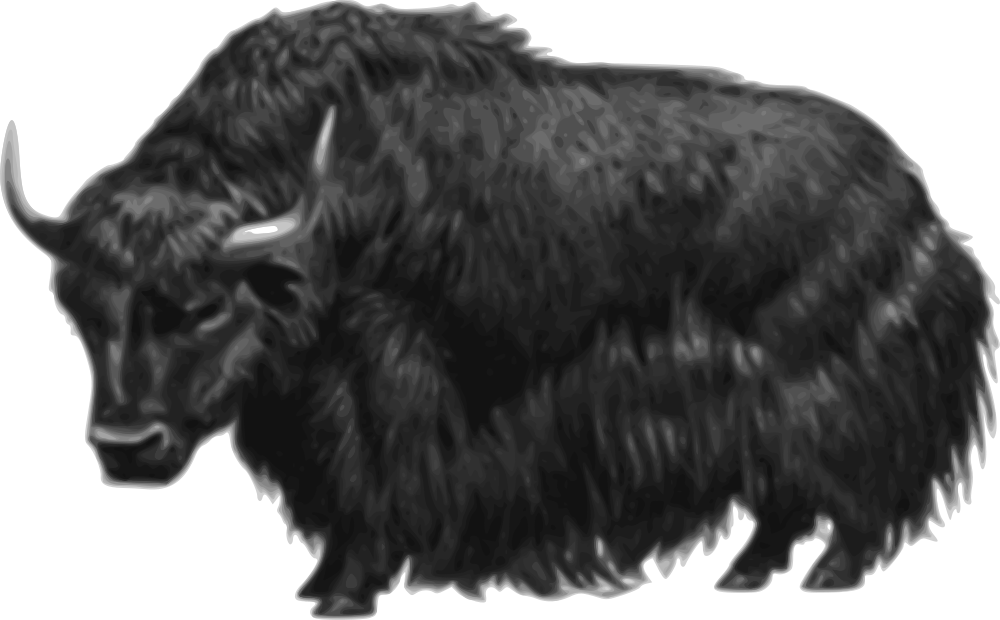 Majestic Yak Illustration PNG image