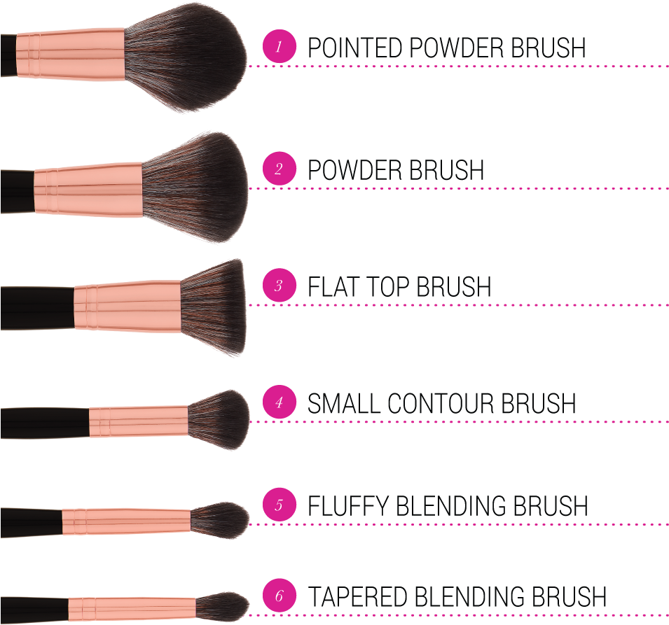 Makeup Brush Types Explained PNG image