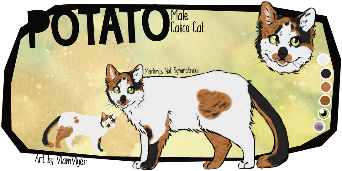 Male Calico Cat Illustration PNG image