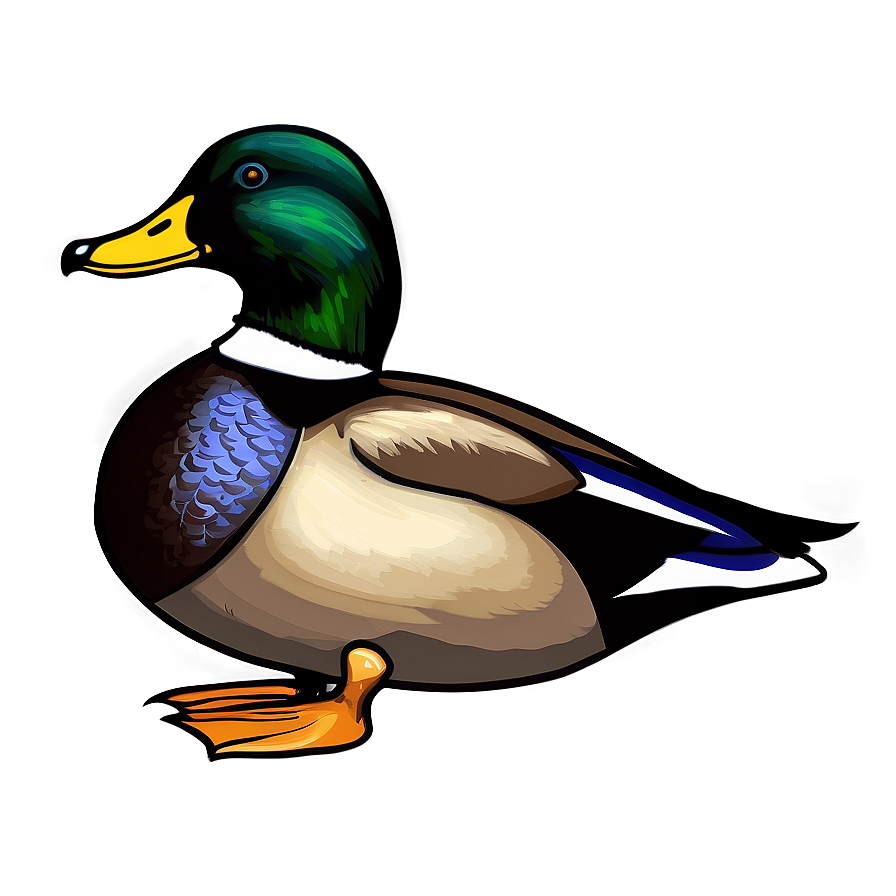 Male Mallard Duck Png 06262024 PNG image