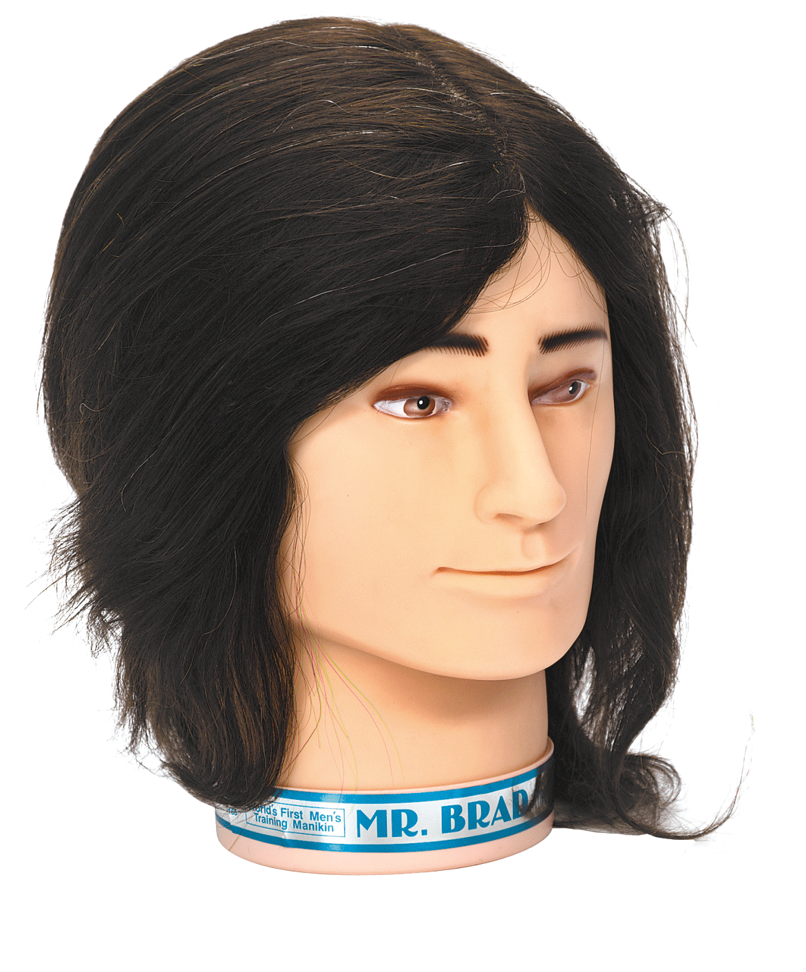 Male Mannequin Head With Hair PNG image