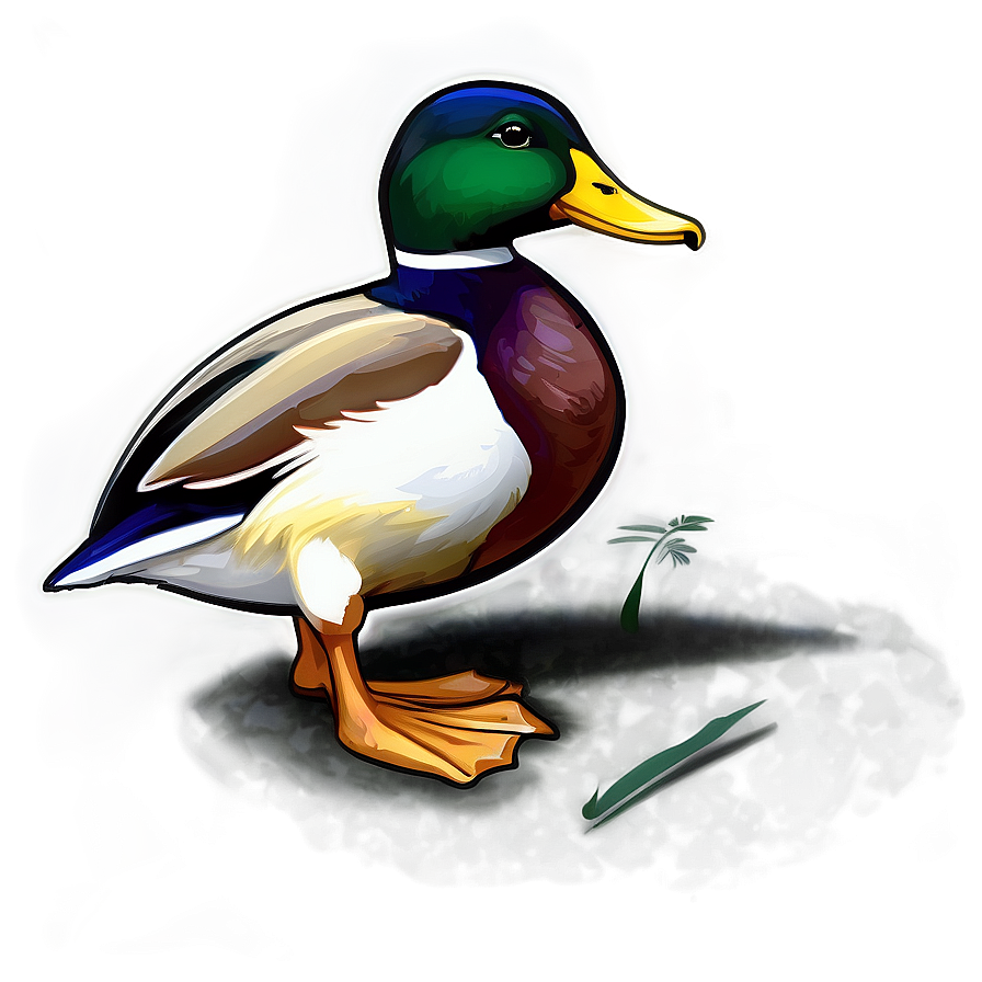 Mallard Duck Feeding Png 66 PNG image