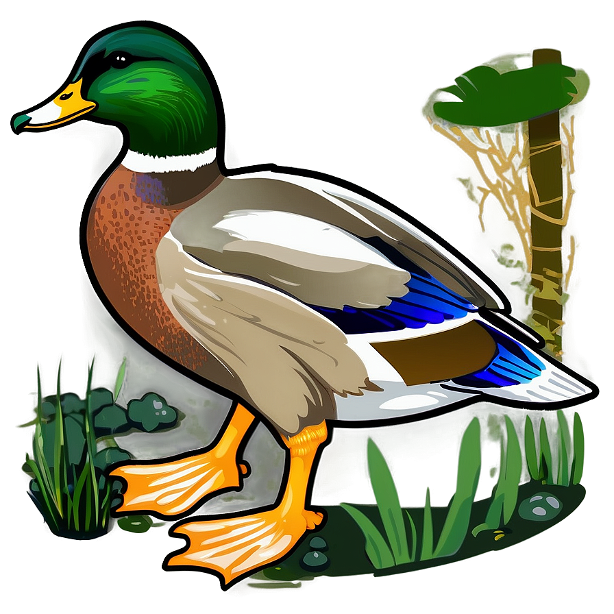 Mallard Duck Habitat Png 36 PNG image