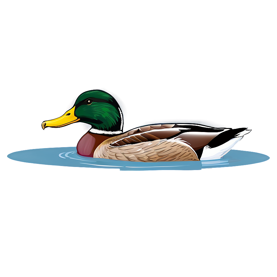 Mallard Duck Swimming Png Ekk PNG image