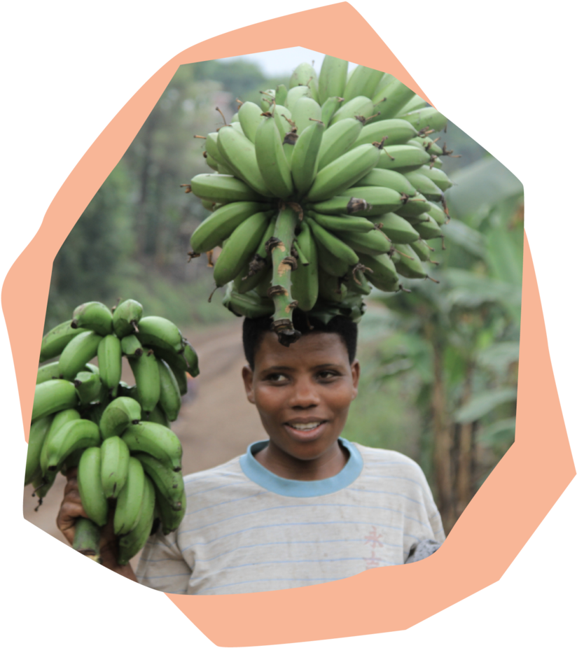 Man Carrying Plantain Bunch PNG image