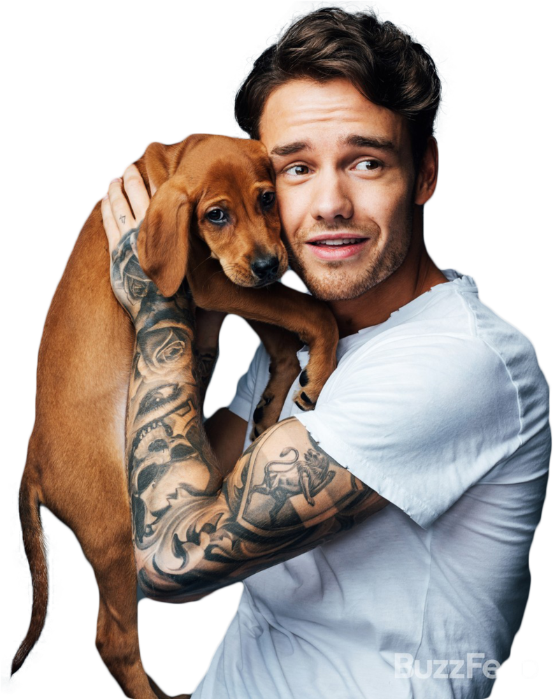 Man Holding Brown Puppy PNG image